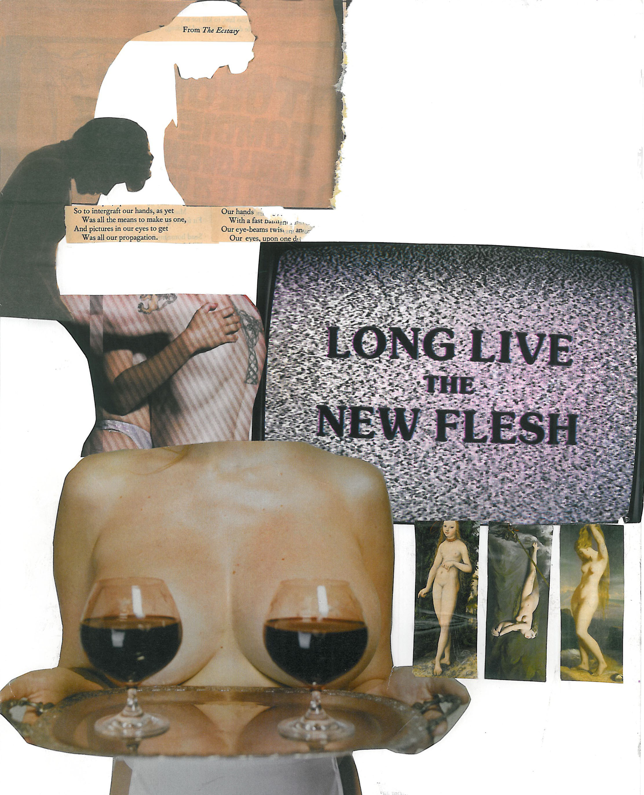 Long Live the New Flesh